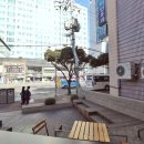 롯데시티호텔제주 이미지