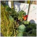 기쁨유치원 | 동산유치원 교육 설명회 후기, 프로 그램•돌봄.식사까지 완벽했던 이유