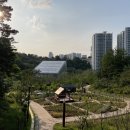 영흥도서관 네이버블로그