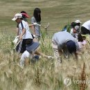 김동진농장 이미지