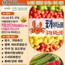 나라원