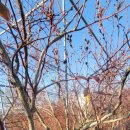 문기 농장 이미지