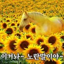아놔고