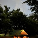 크로플덕오리아가씨 안산점