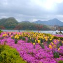 요산마을 이미지