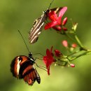한국농촌 노동조합 이미지