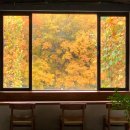 경기도 수원시 팔달구 권광로175번길 31-12 (인계동) | 수원시청역 카페 베스트 TOP 10 추천