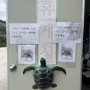 취팔로마 네이버블로그