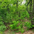 호법보건지소 이미지