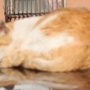 수정아파트 이미지