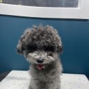 환해지개 이미지