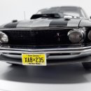 [1/18] Highway61 1969 Ford Mustang Boss 429 이미지