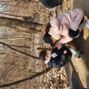 신광어린이집 이미지