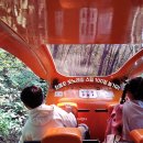 제천관광호텔 | 제천 청풍호 관광 모노레일 예약 케이블카 셔틀버스 여행코스 추천