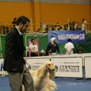 강서구-88 이미지