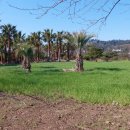 대평회관 이미지