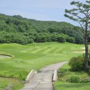 포천아도니스 C.C 이미지