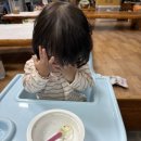 보랏빛산채마을 | 인제황태맛집 가을꽃 축제까지 생생한 후기