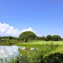 사파이어 이미지