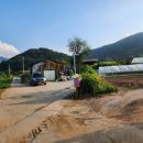 신포가축 이미지