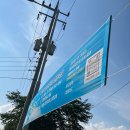 연성동주민센터 | 2025 시흥 관곡지 연꽃 실시간 개화 현황 - 아직 시기상조! 연꽃축제 일정 확인하세요