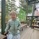 대야행복한어린이집 이미지