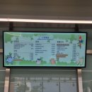 수달앤쥬 | 다양한 동물들과 직접 소통해 볼 수 있는 수원 실내동물원 수달앤쥬 방문 후기