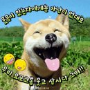 😄지혜와 유머😄 이미지