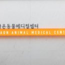 더라온메디칼 이미지