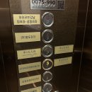 강남치과 라미네이트 상담받고 왔음(feat. 내돈내산)