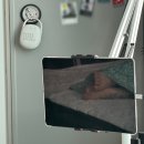 연제농원 | 첫 출근 전 마지막 백수 생활을 즐기는 직딩일상 | 주간 도라로그 탐험세션 [2508W1]