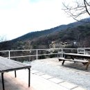 봉수산숲펜션 네이버블로그