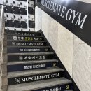 메이트짐 | [PT] 머슬메이트짐 오목교PT 목동피티 후기 (feat.오목교 여자트레이너 강력 추천)