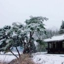 설화 - 노원구 상계로5길 12 | 설화