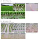 ㈜수일 | 팜한농 위드삭 유현탁제