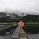 600동화장실 네이버블로그