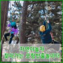 자놀자 이미지