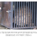 [단독] ‘갈비뼈 사자’ 논란 부경동물원… 12일부터 운영 중단 이미지