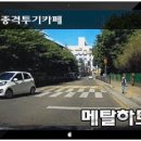 [블박] 부산 좌수영교 추락사고 이미지