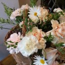 피아노숲 이미지