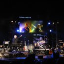 벨리아(BELLIA) 이미지