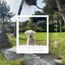 보성지중해야영장 이미지