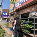 청양천막사