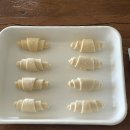 스테이 오힐 이미지