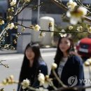 꽃샘길 화장실 이미지