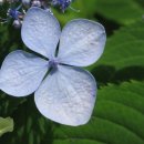 동충주주유소 이미지