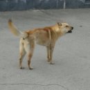 사옥축산 이미지