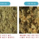 피부연가