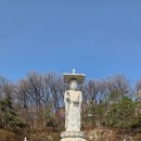 그늘막135 | 서울봄꽃명소 봉은사 홍매화 관람후기