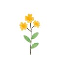 (주)네츄럴굿띵스 이미지